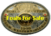 Foals for Sale